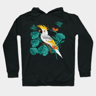 Colorful Bird in nature Hoodie